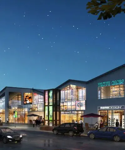 莫斯科人均绿地面积_国际人均商业面积(3)