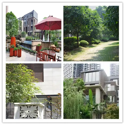 金地国际花园小区环境.jpg