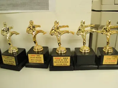 "散打王"奖杯